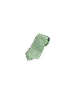 Supermicro Necktie Green Tie 